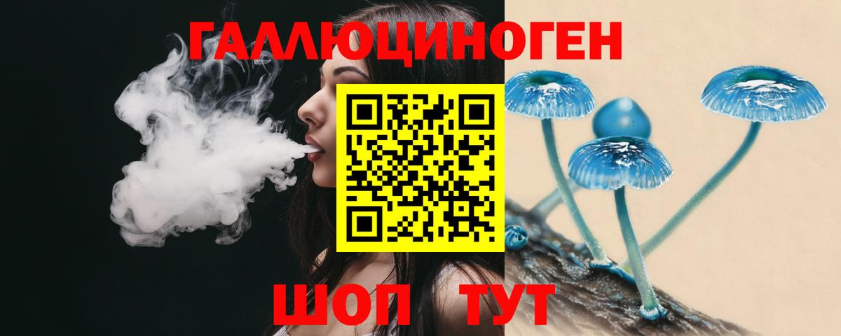 Псилоцибиновые грибы Cubensis Котельники