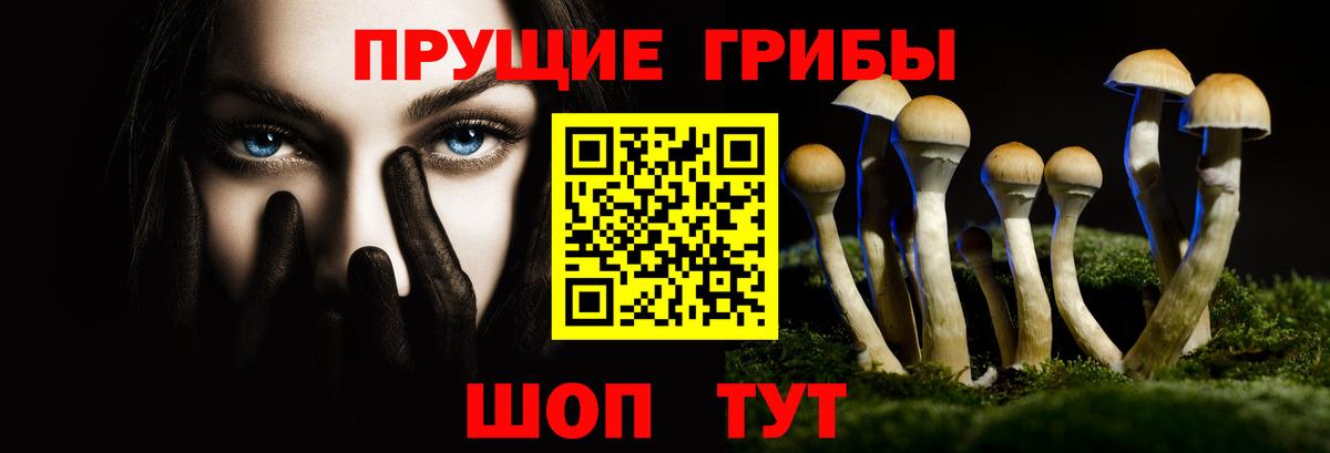 Галлюциногенные грибы мицелий  Вход с VPN  Галлюциногенные грибы Psilocybine cubensis  Котельники 